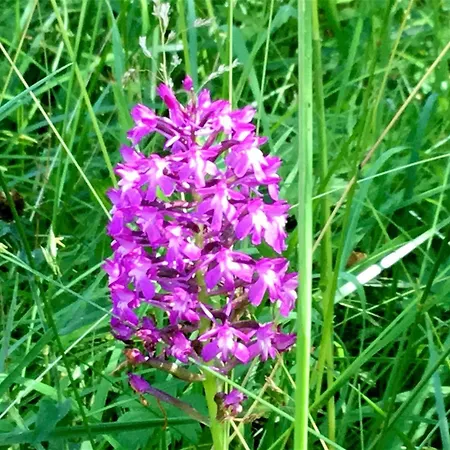 Couette-café De La Sagne Cabrerets